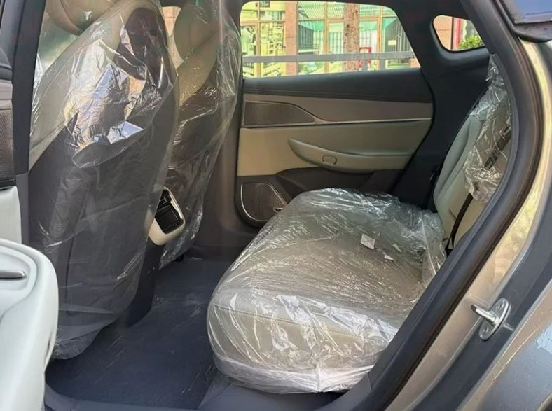 奇瑞星途 后面外观二