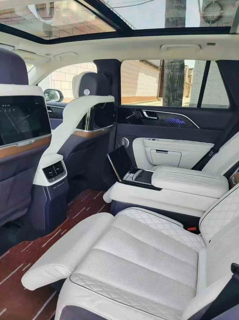 红旗E-HS9 后面外观二