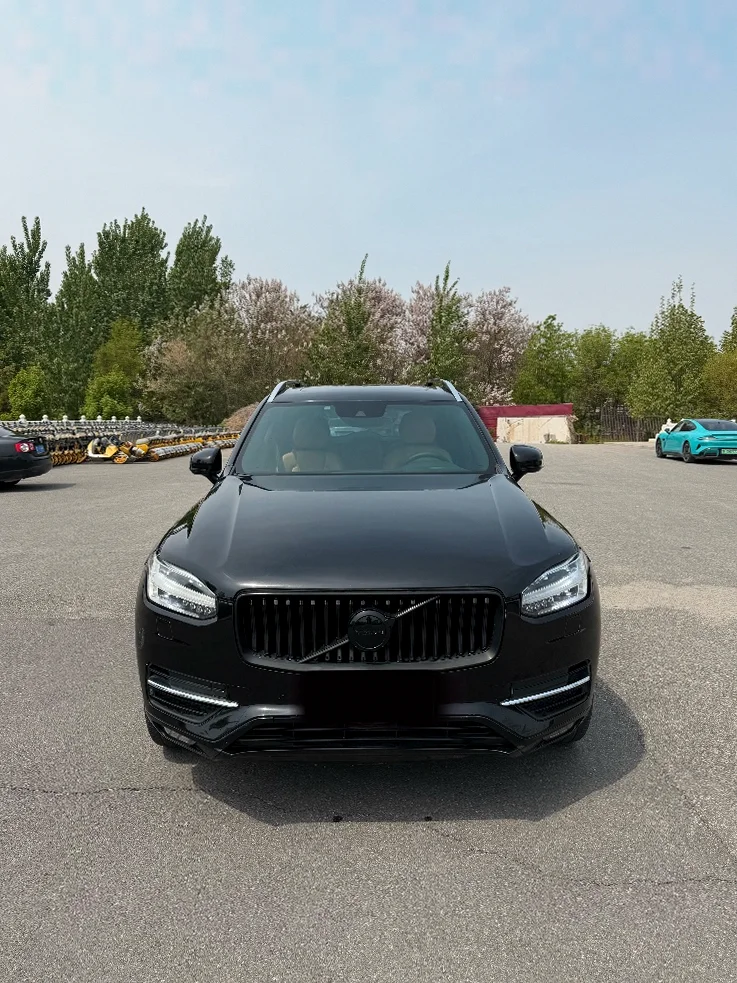 17年沃尔沃XC90 T6智逸版