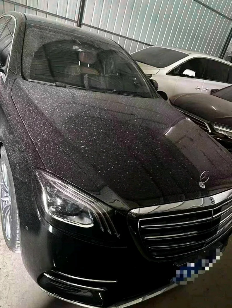 奔驰S 后面外观二