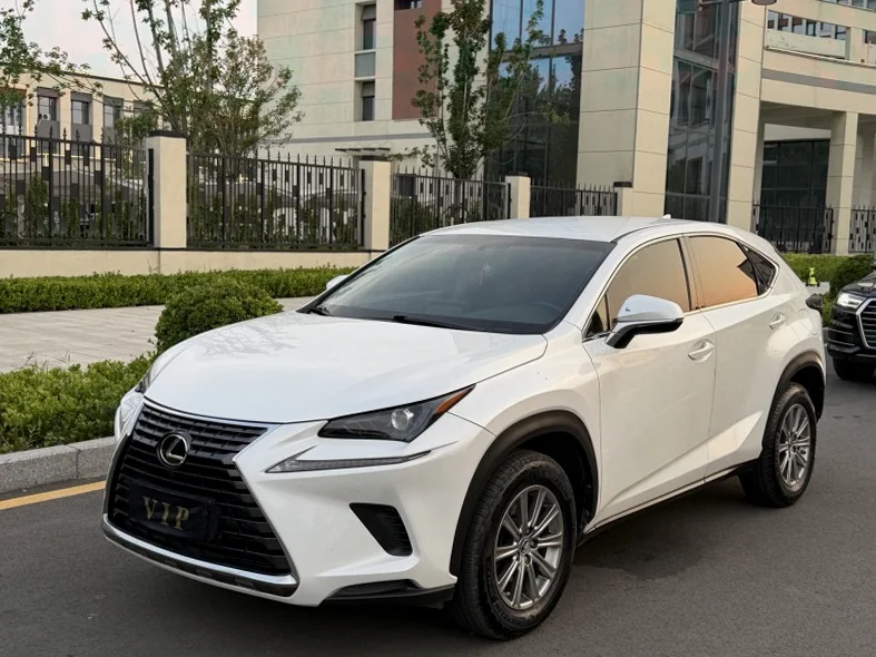 雷克萨斯NX 后面外观二