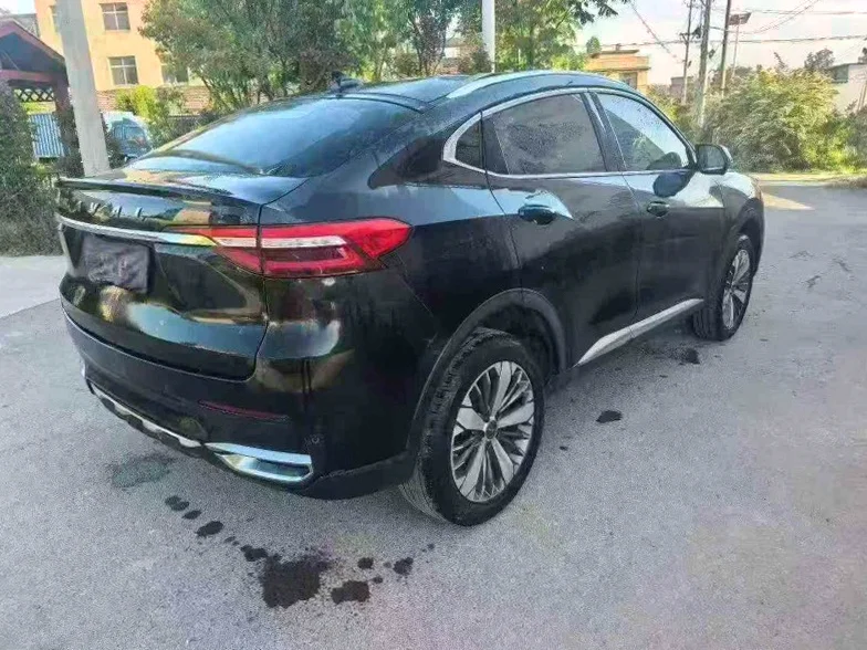 哈弗F7x 内饰后排
