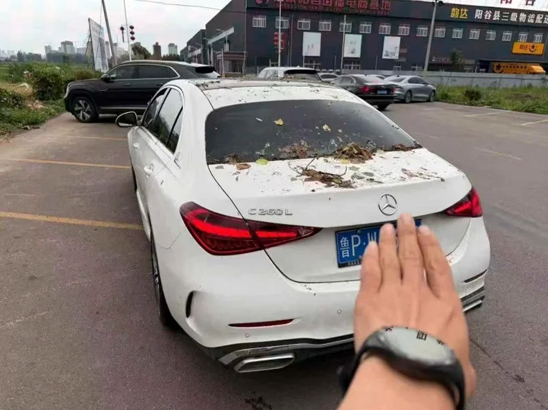 奔驰C 后面外观三