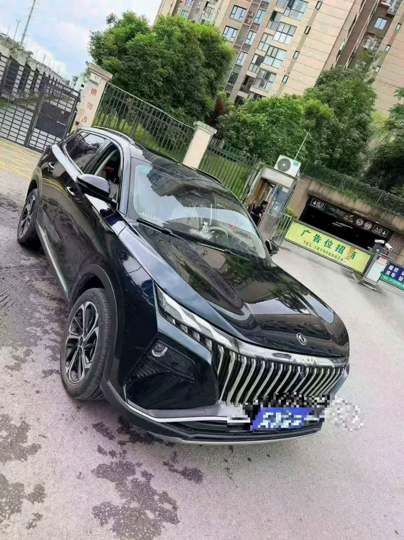 风度东风 正面外观三