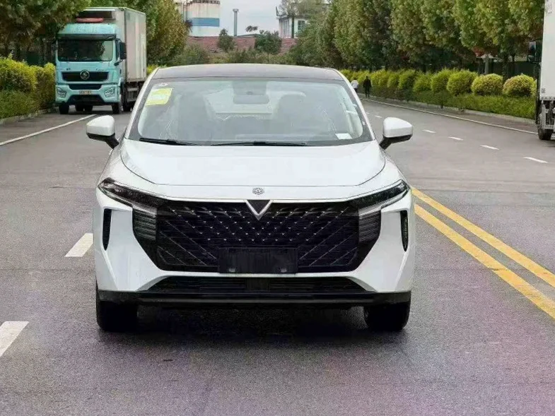 2026款 启辰 大V | 保定