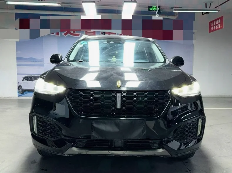2019款 长城汽车 魏牌 | 成都