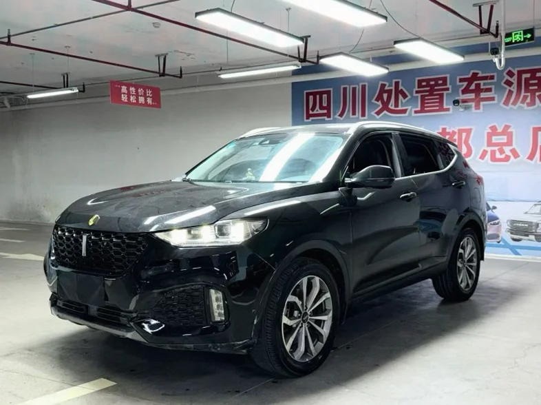 长城汽车魏牌 正面外观二