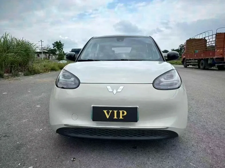2023款 五菱汽车 缤果 | 梧州