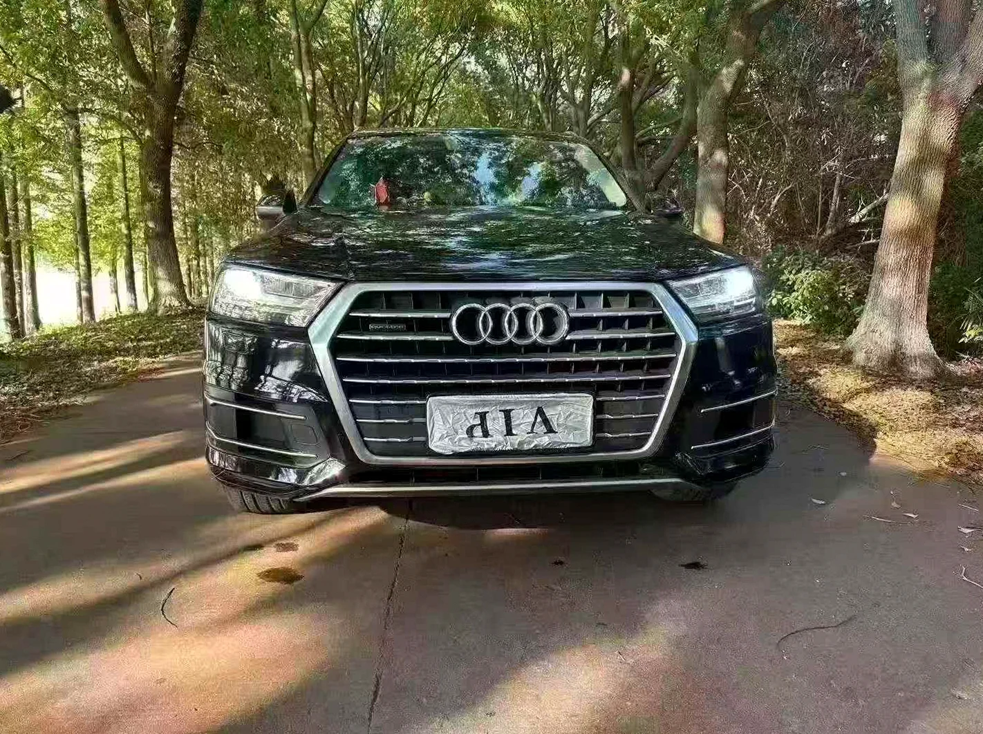 奥迪Q7 正面外观二