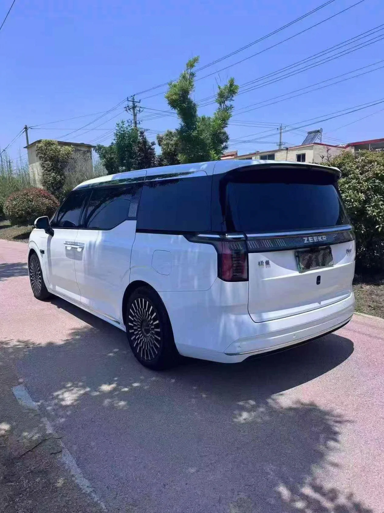 极氪汽车009 后面外观三