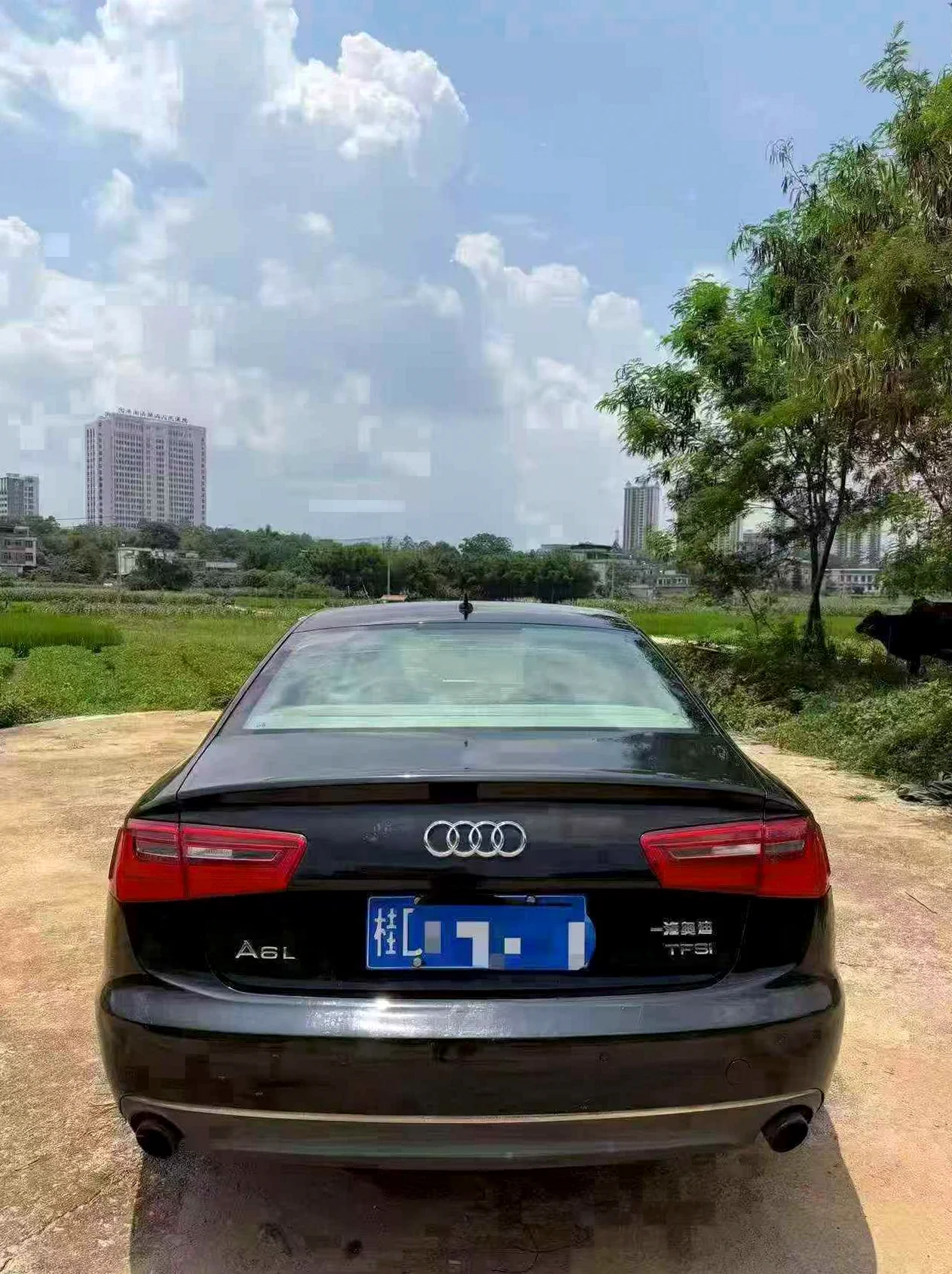 奥迪A6L 驾驶室
