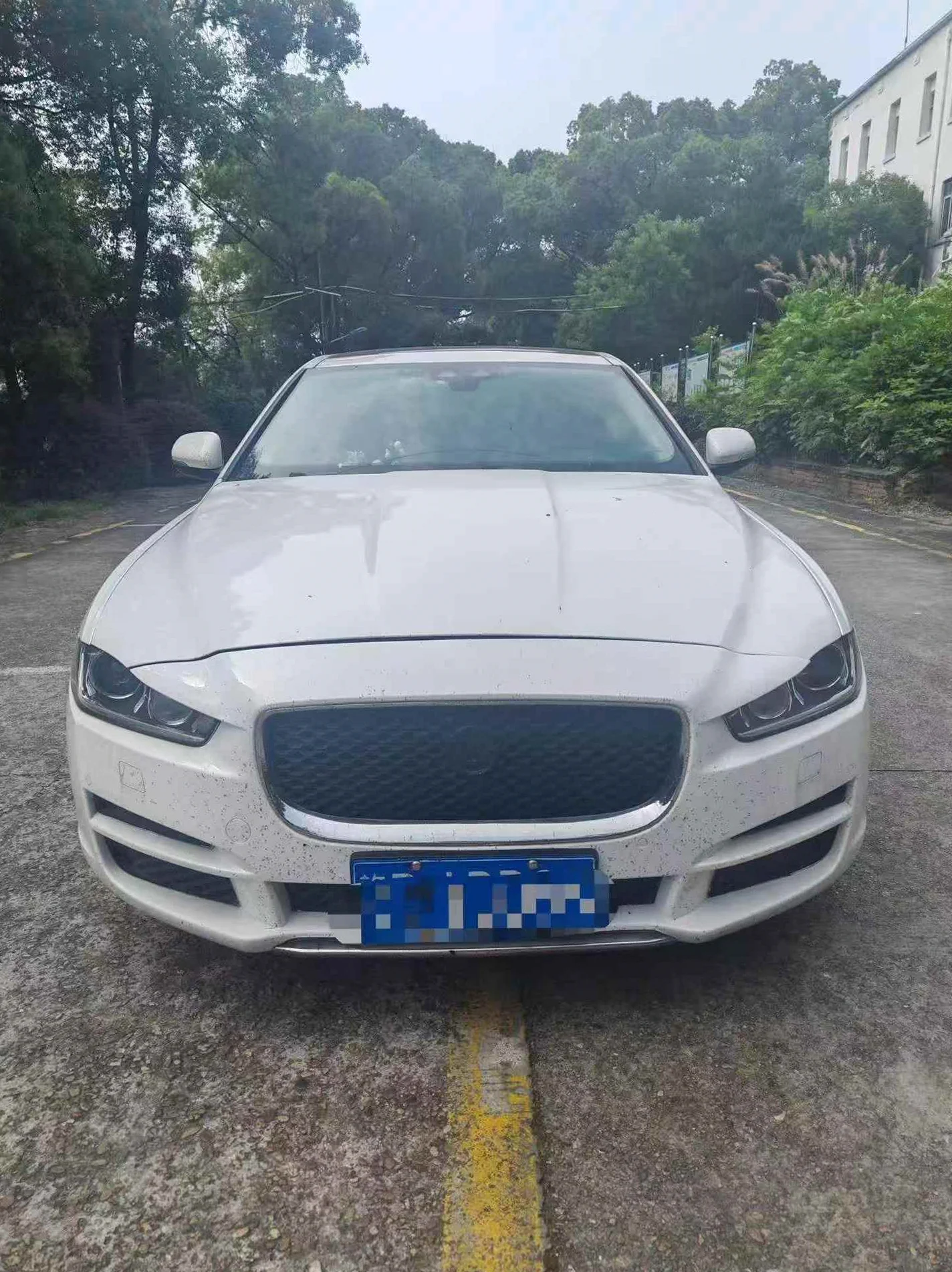 19年捷豹XEL 2.0T