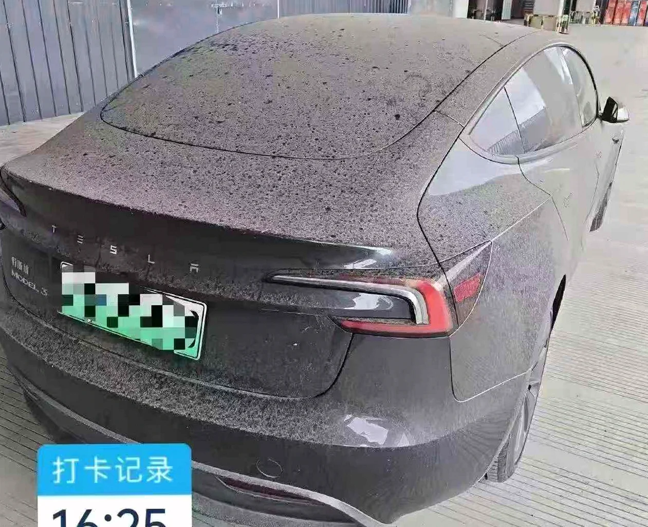 特斯拉MODEL 后面外观二
