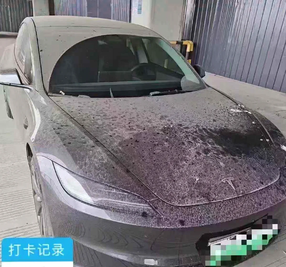 特斯拉MODEL 正面外观三