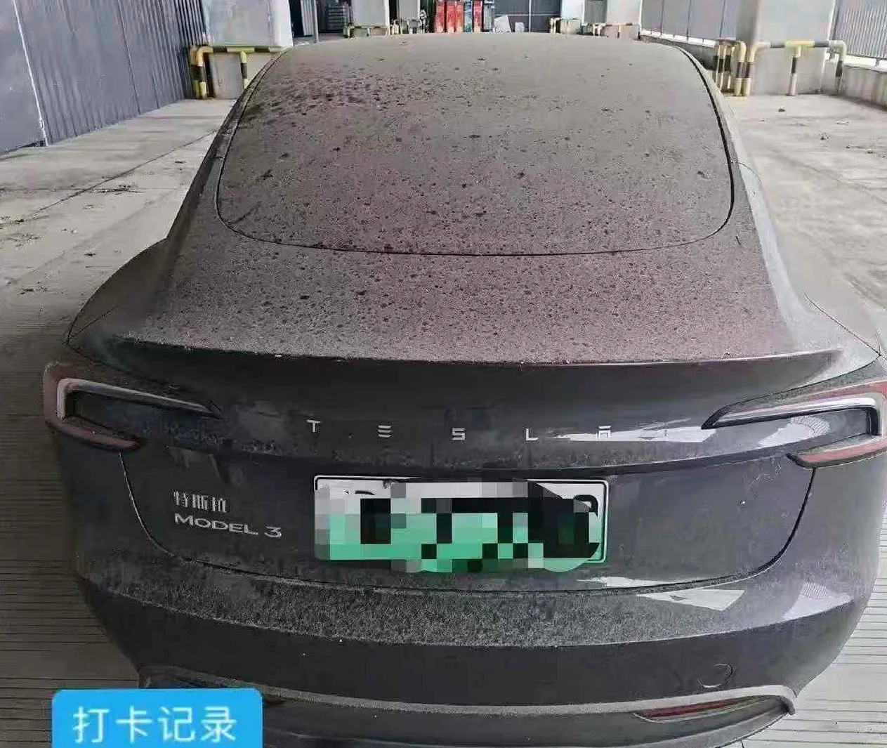特斯拉MODEL 后面外观一