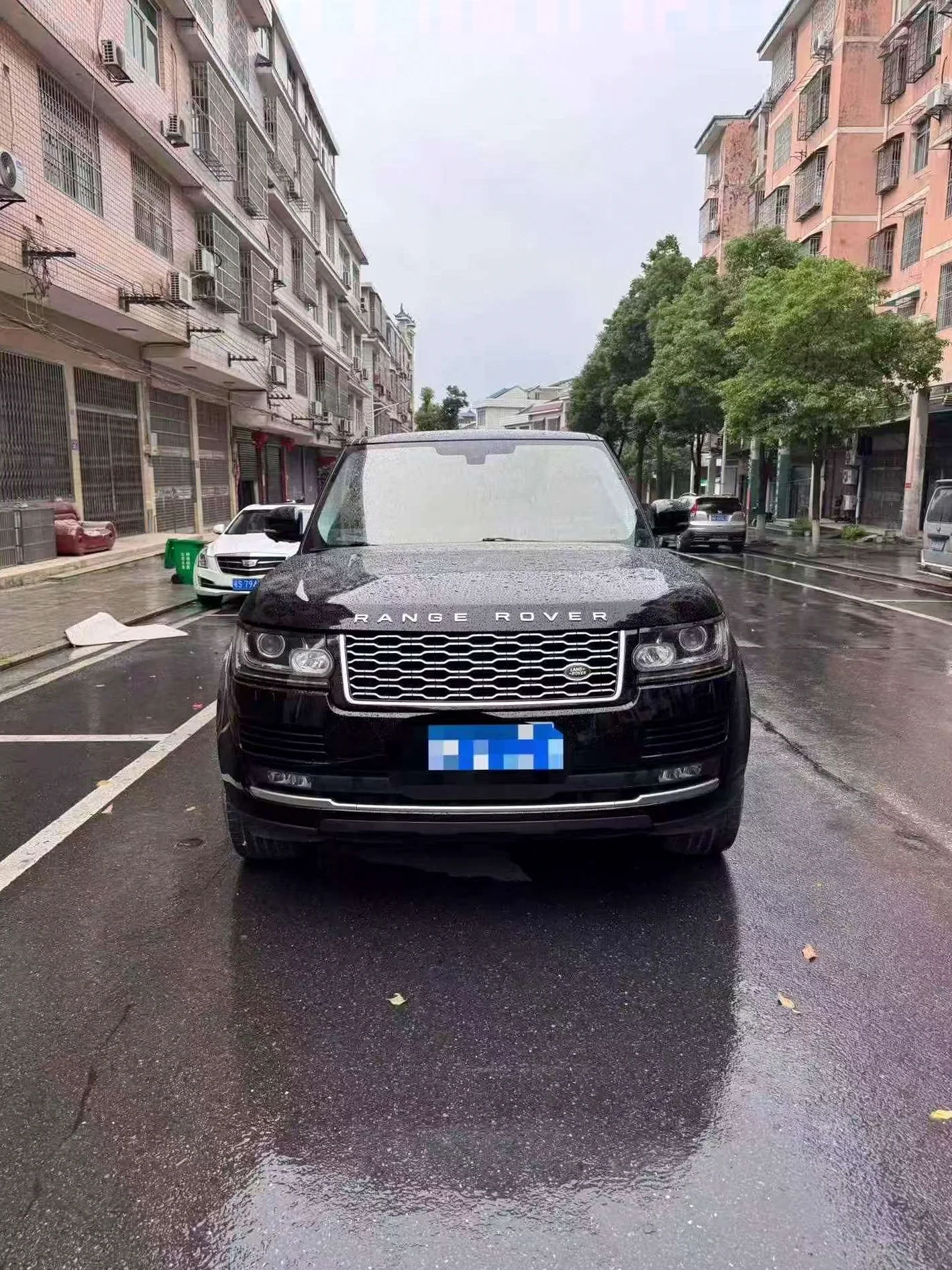 路虎揽胜行政 正面外观二