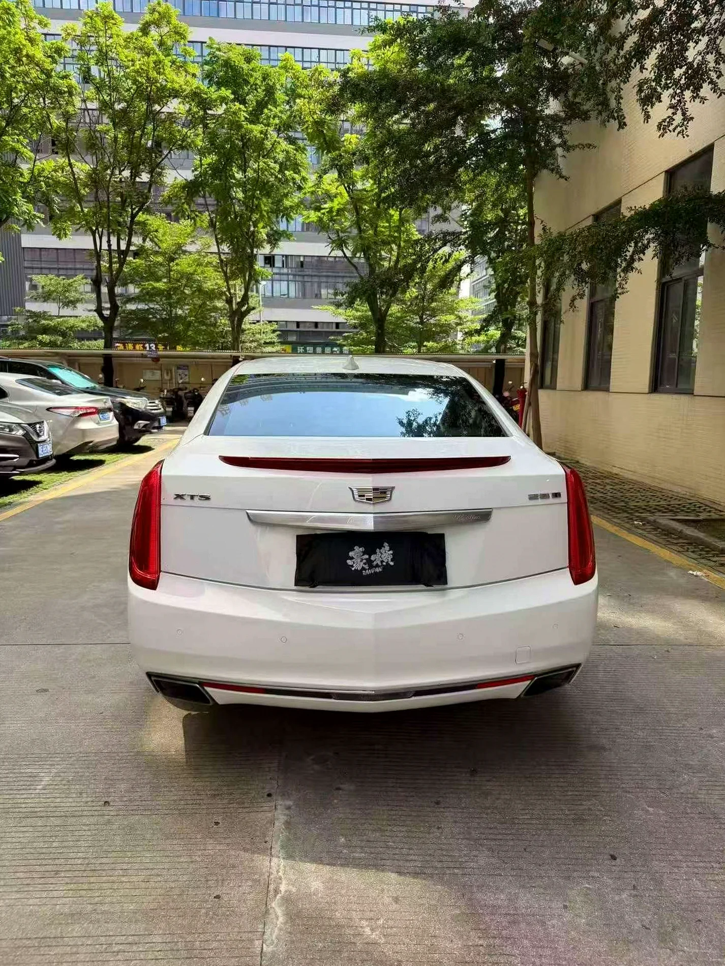 凯迪拉克XTS 后面外观二