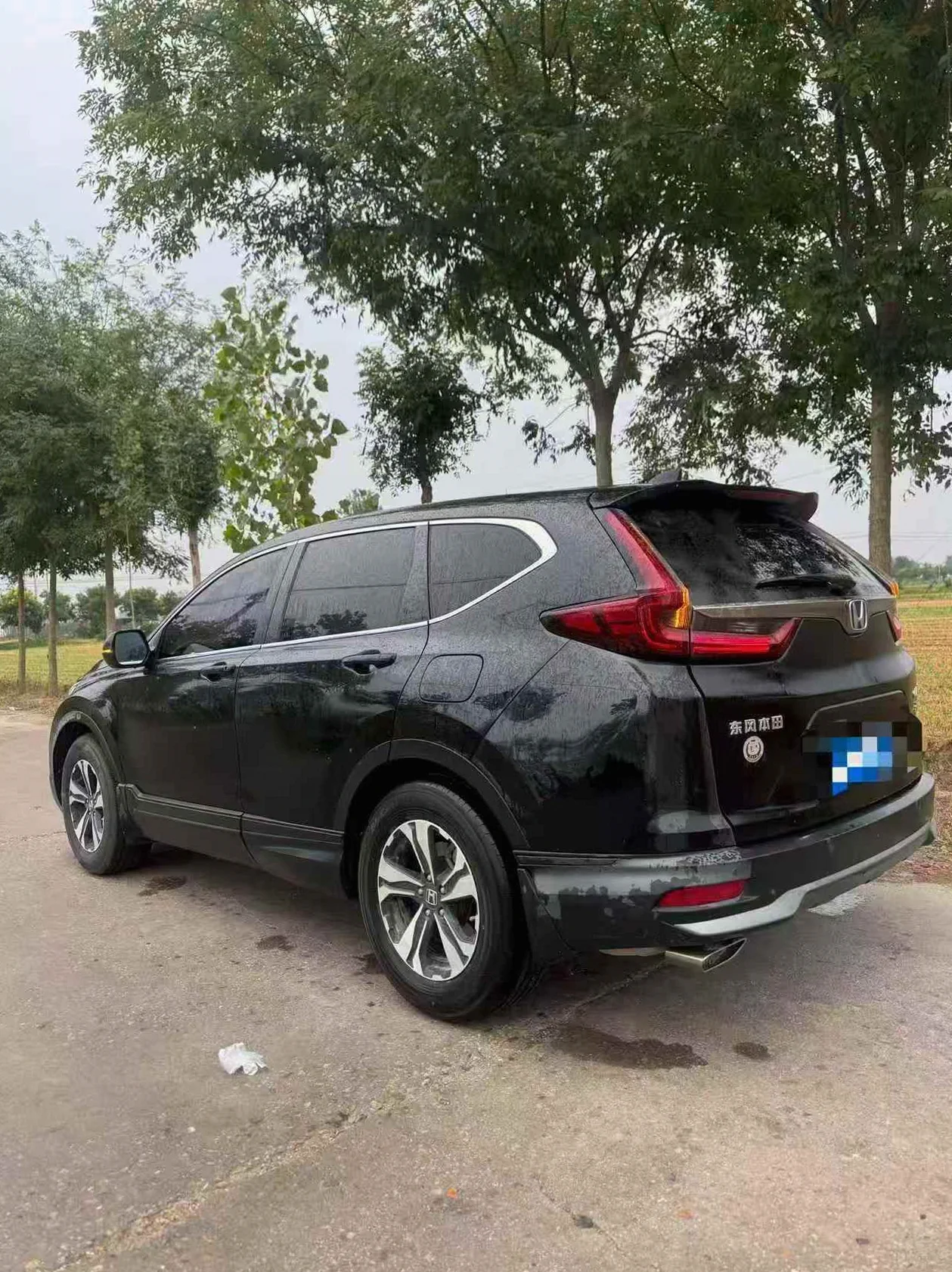 本田CRV 后面外观二