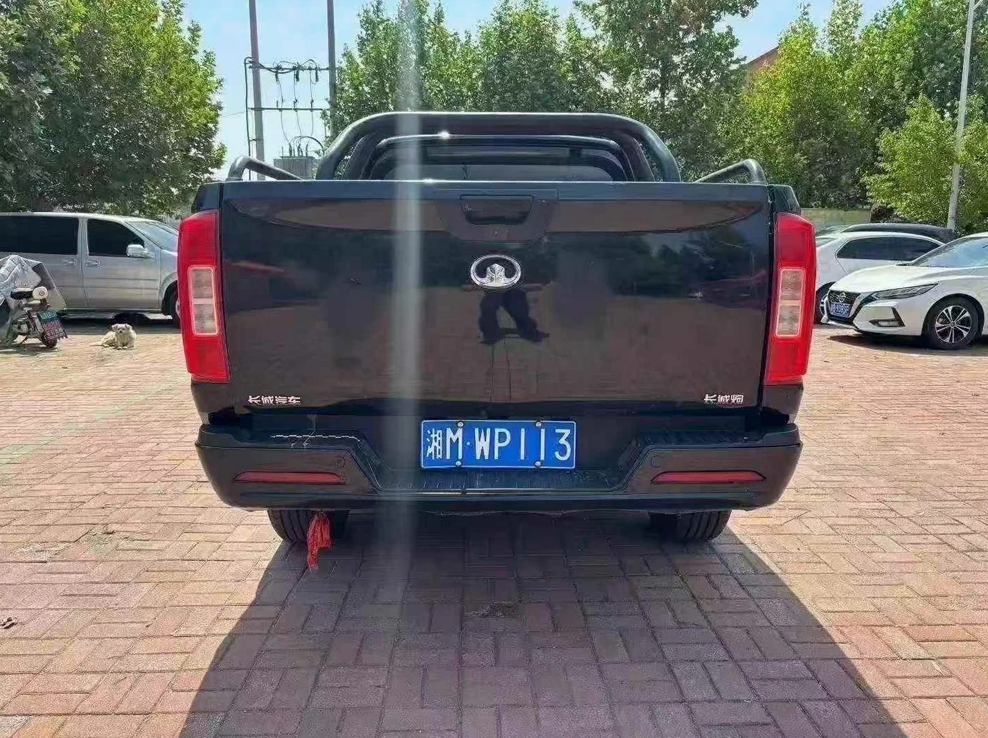 长城汽车炮 后面外观一