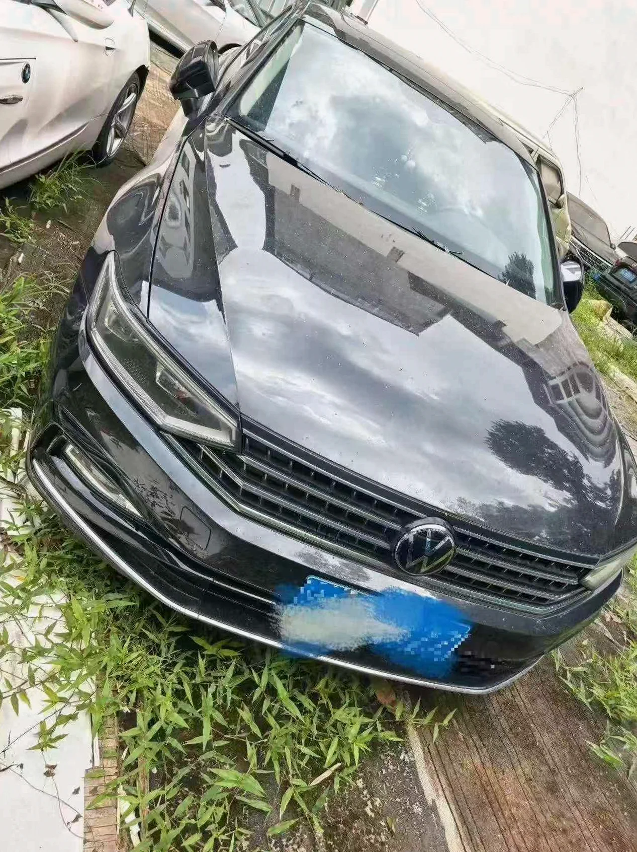 2024款大众迈腾330TSI