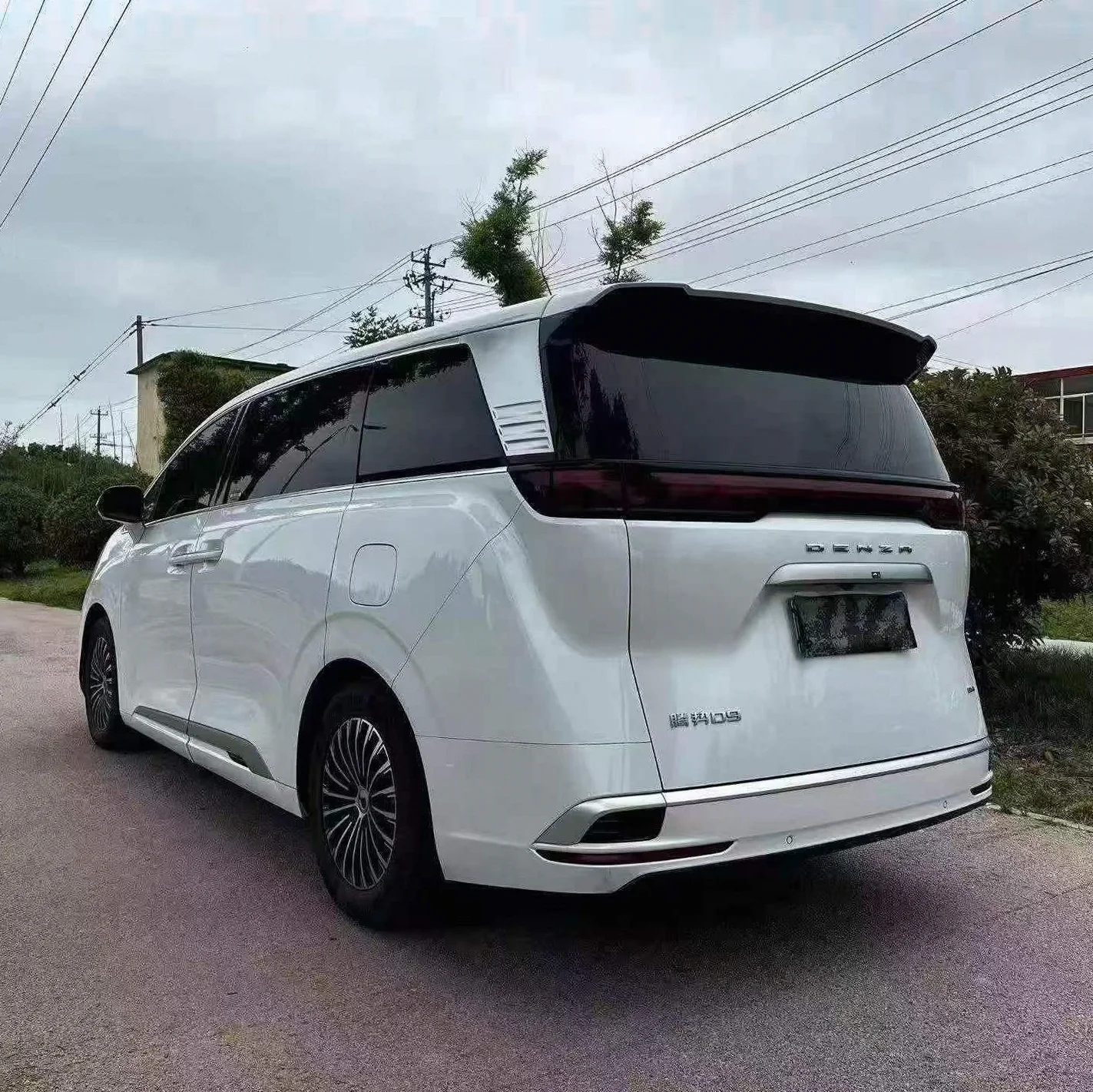 腾势D9 后面外观三