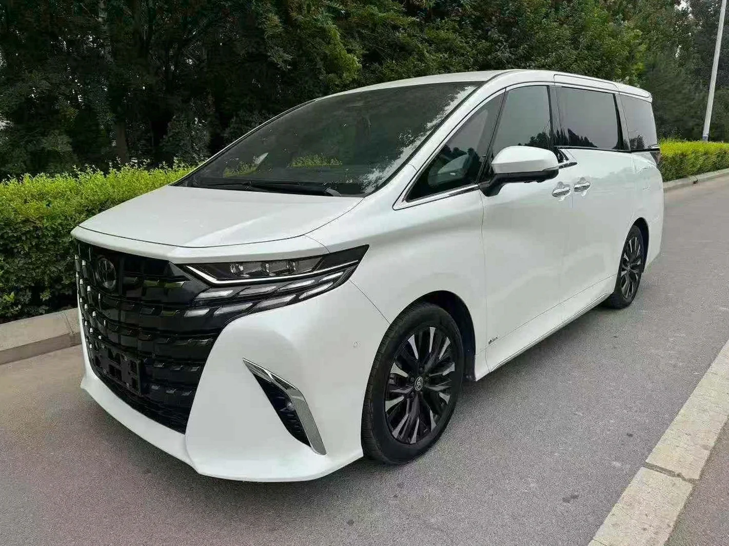 丰田埃尔法 正面外观三
