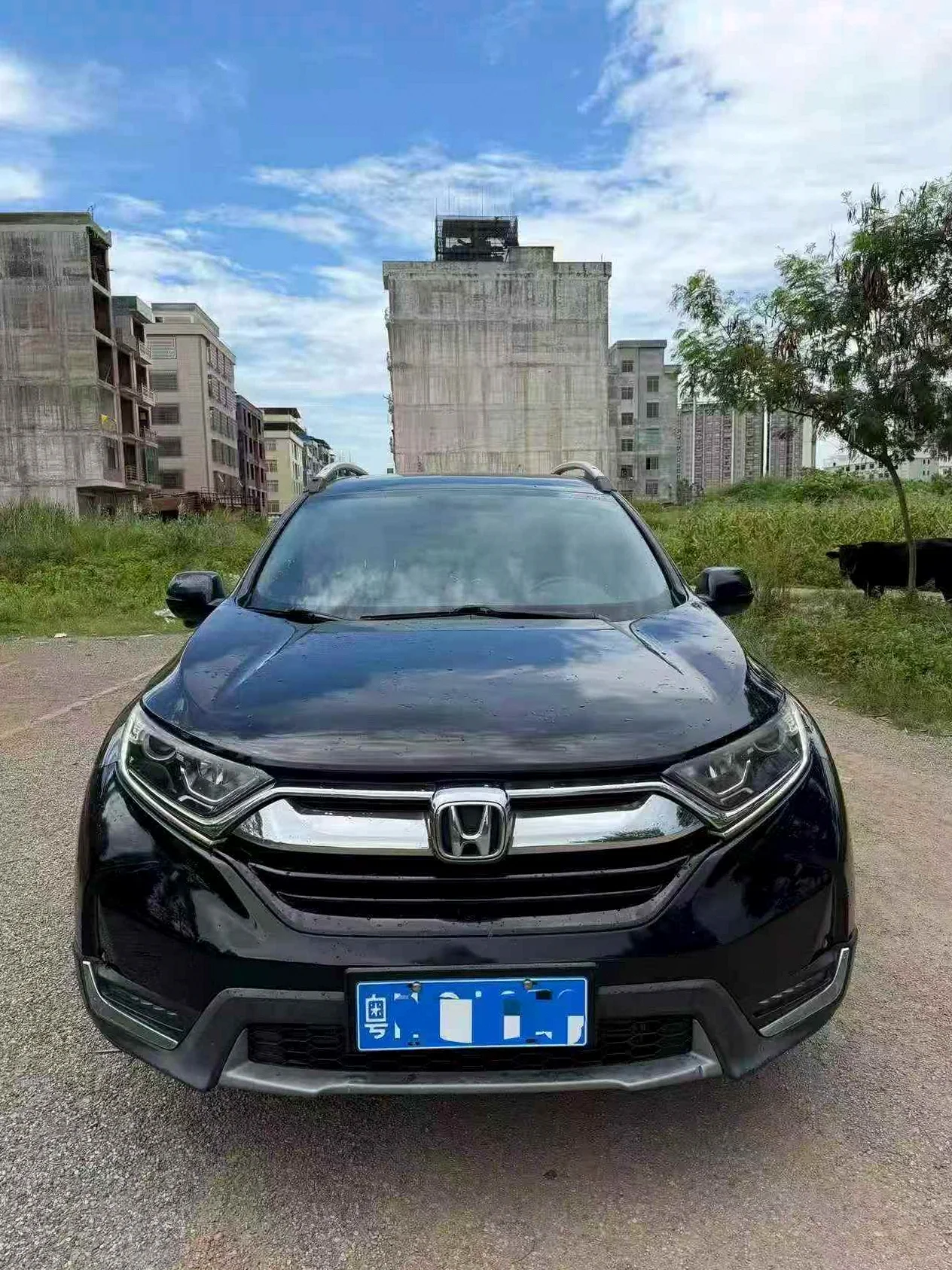20年本田CRV 1.5T自动高配