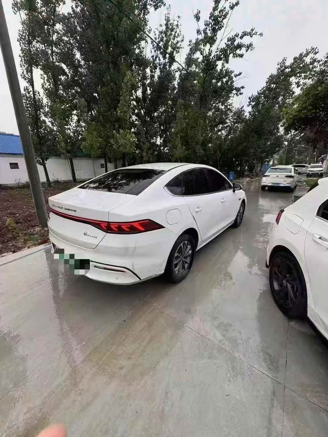 比亚迪秦 后面外观三