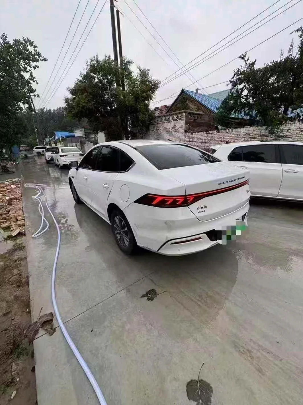 比亚迪秦 后面外观二