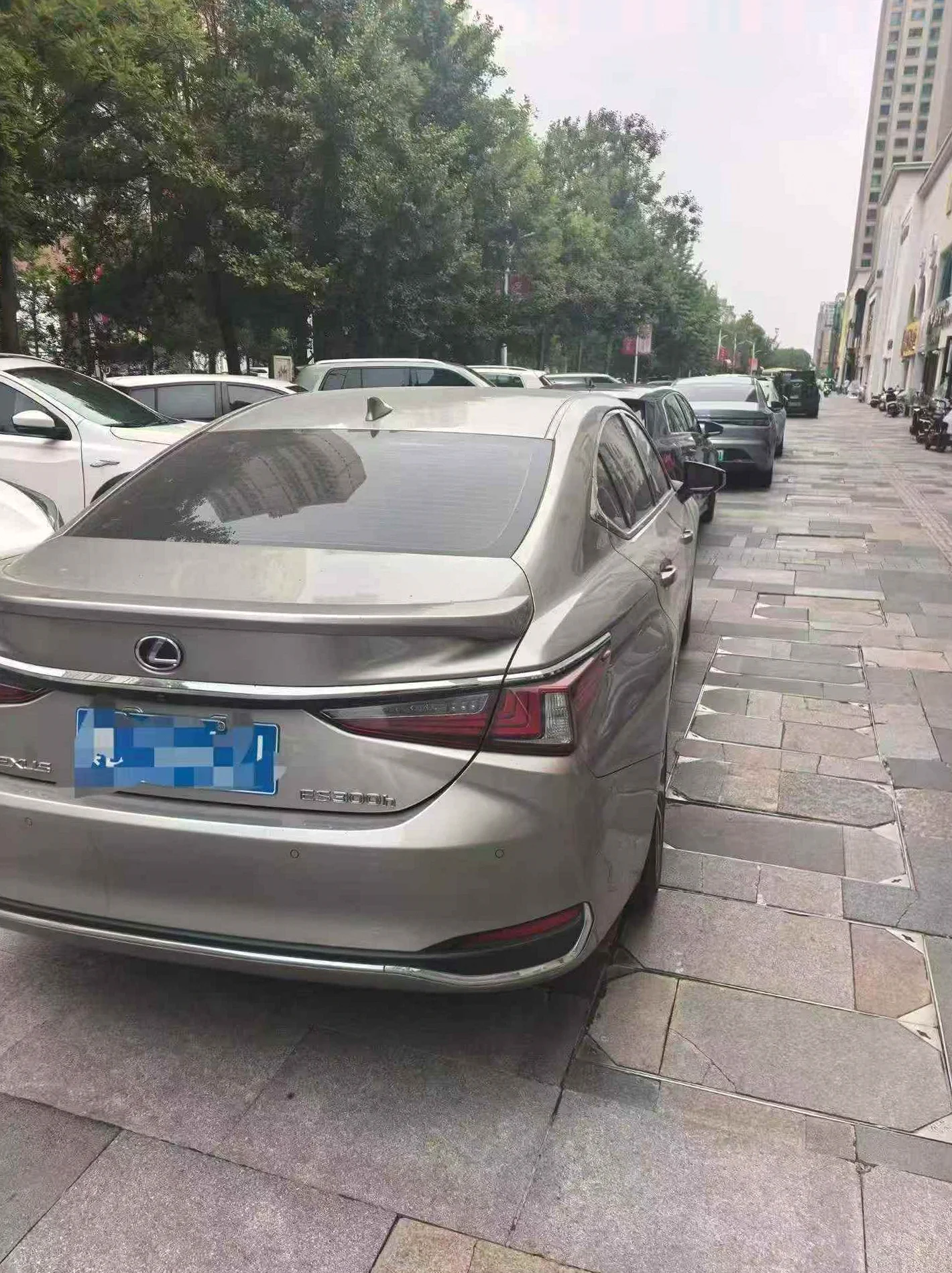 雷克萨斯ES 后面外观二