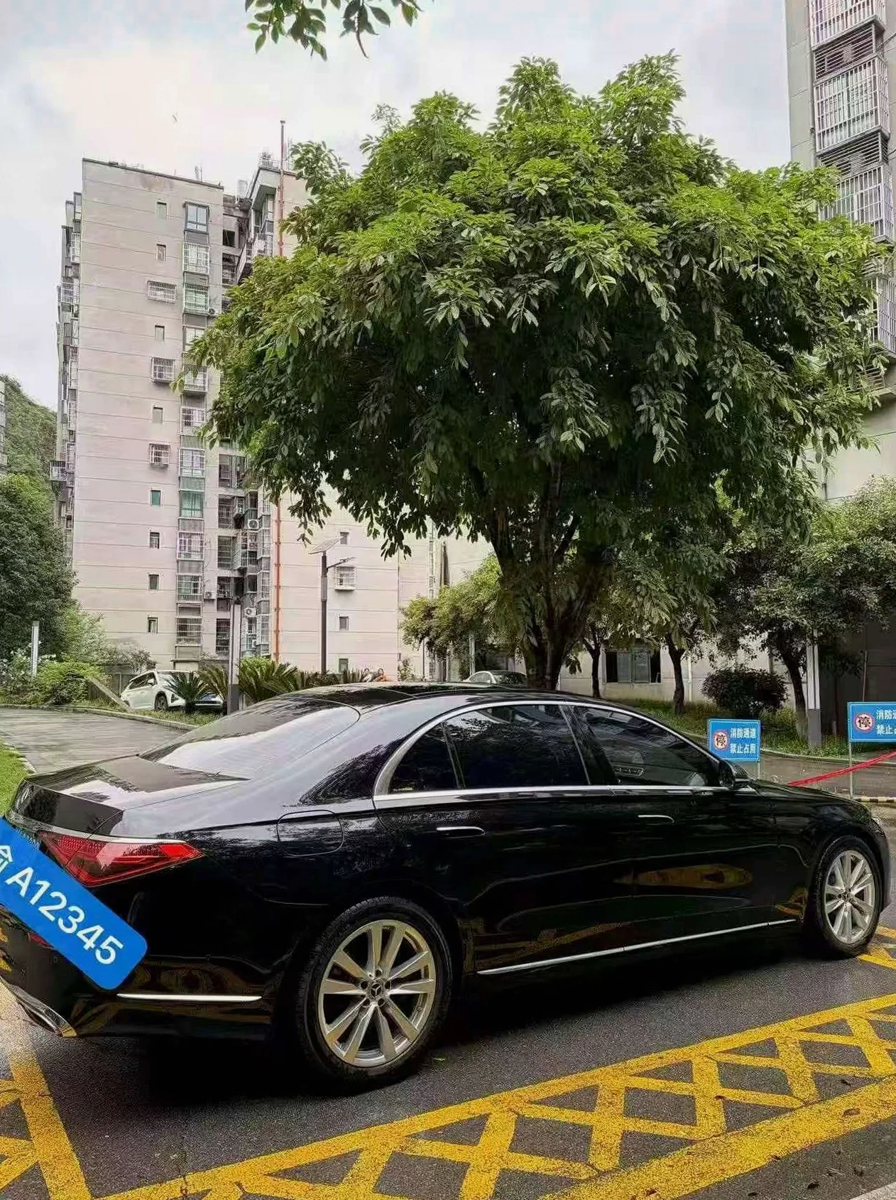 奔驰S 后面外观一