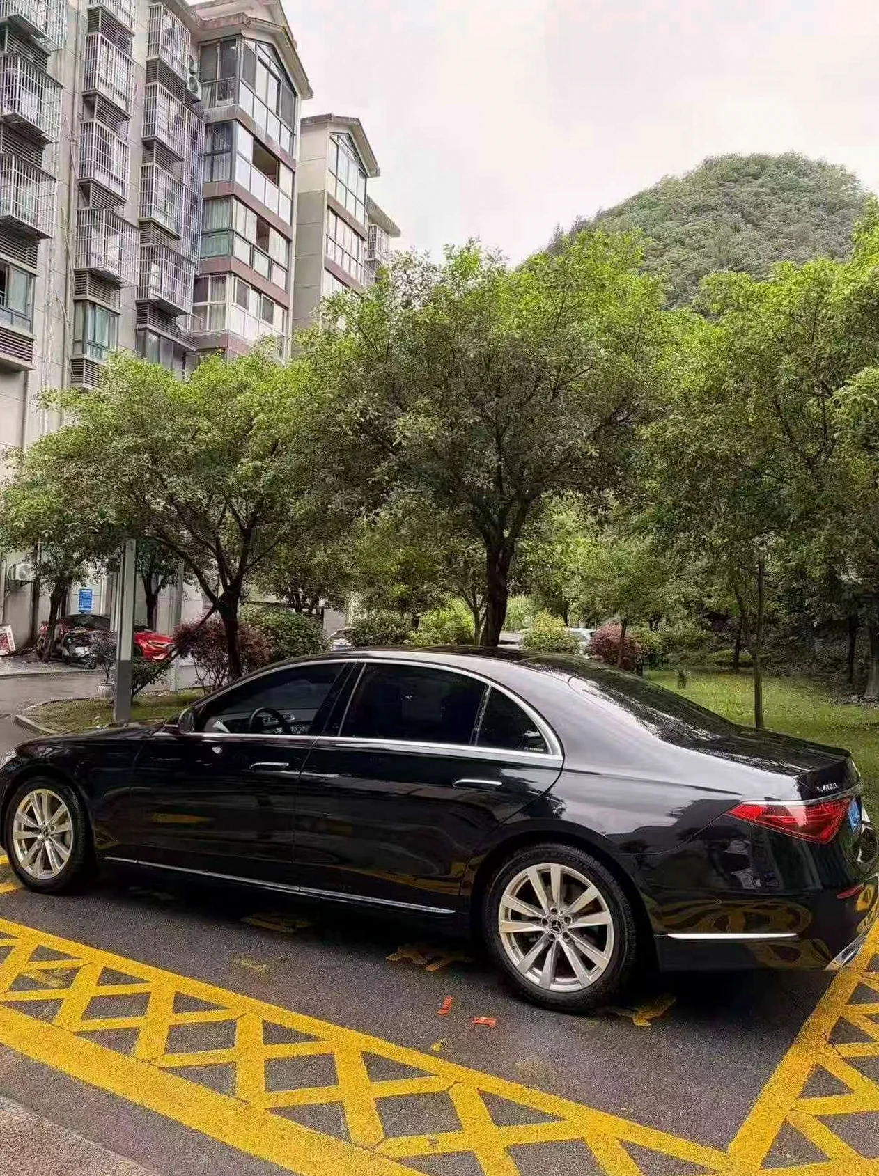 奔驰S 后面外观三