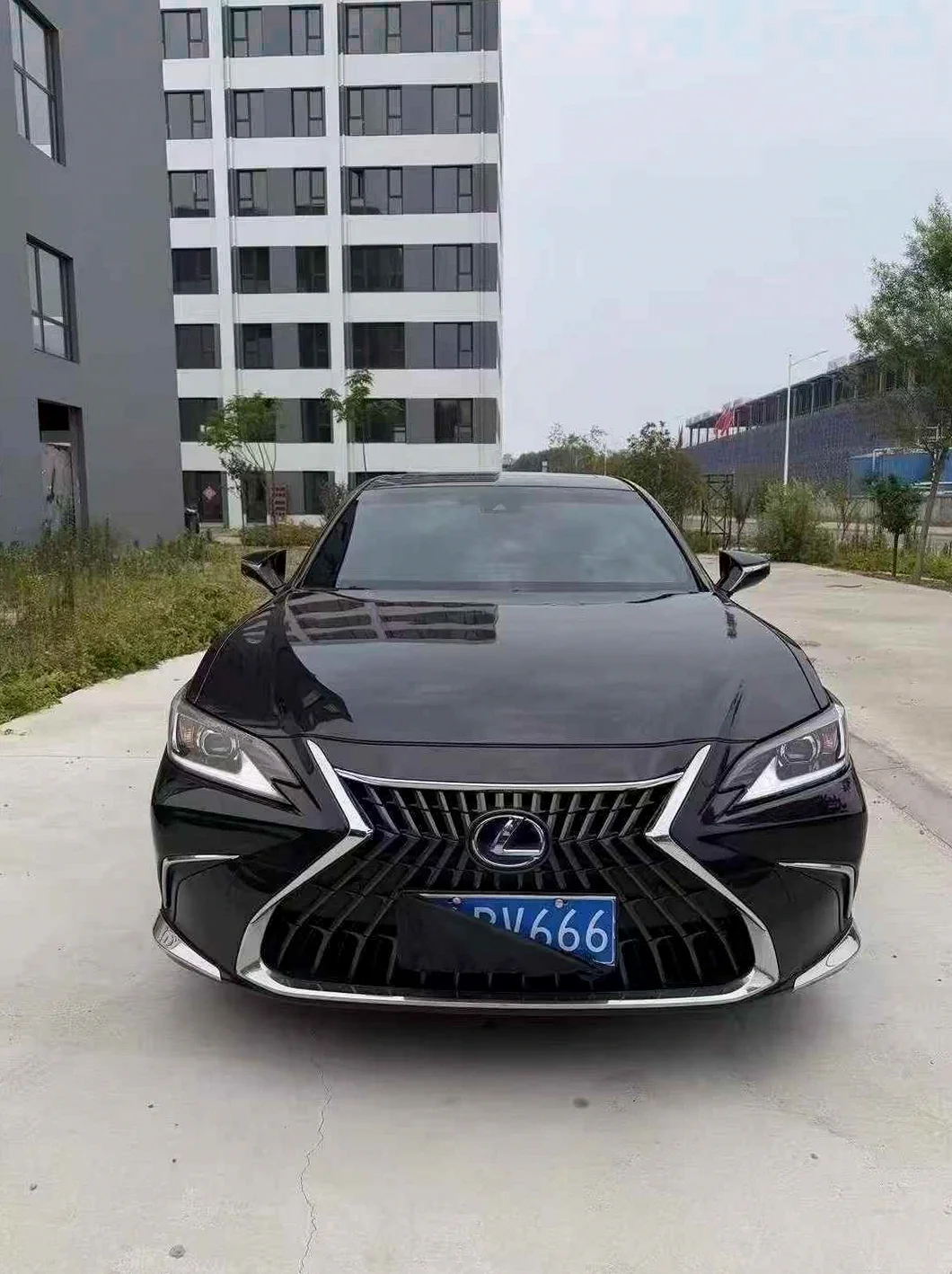 22年雷克萨斯ES300h尊享版