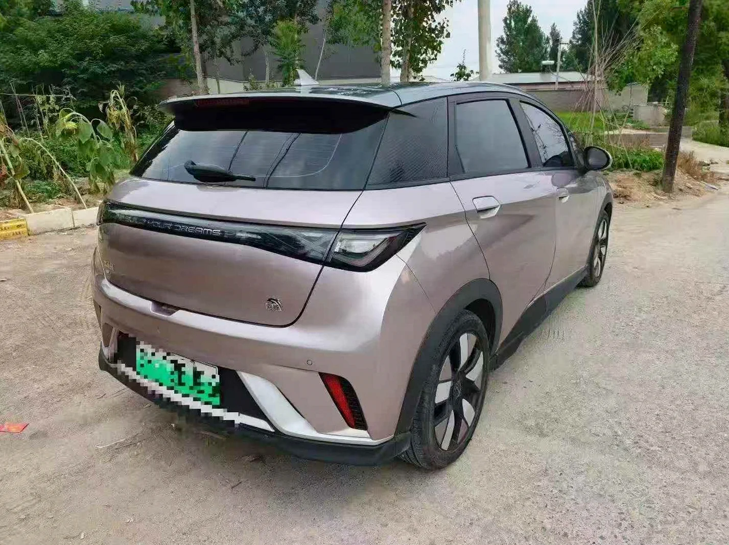 比亚迪海豚 后面外观三