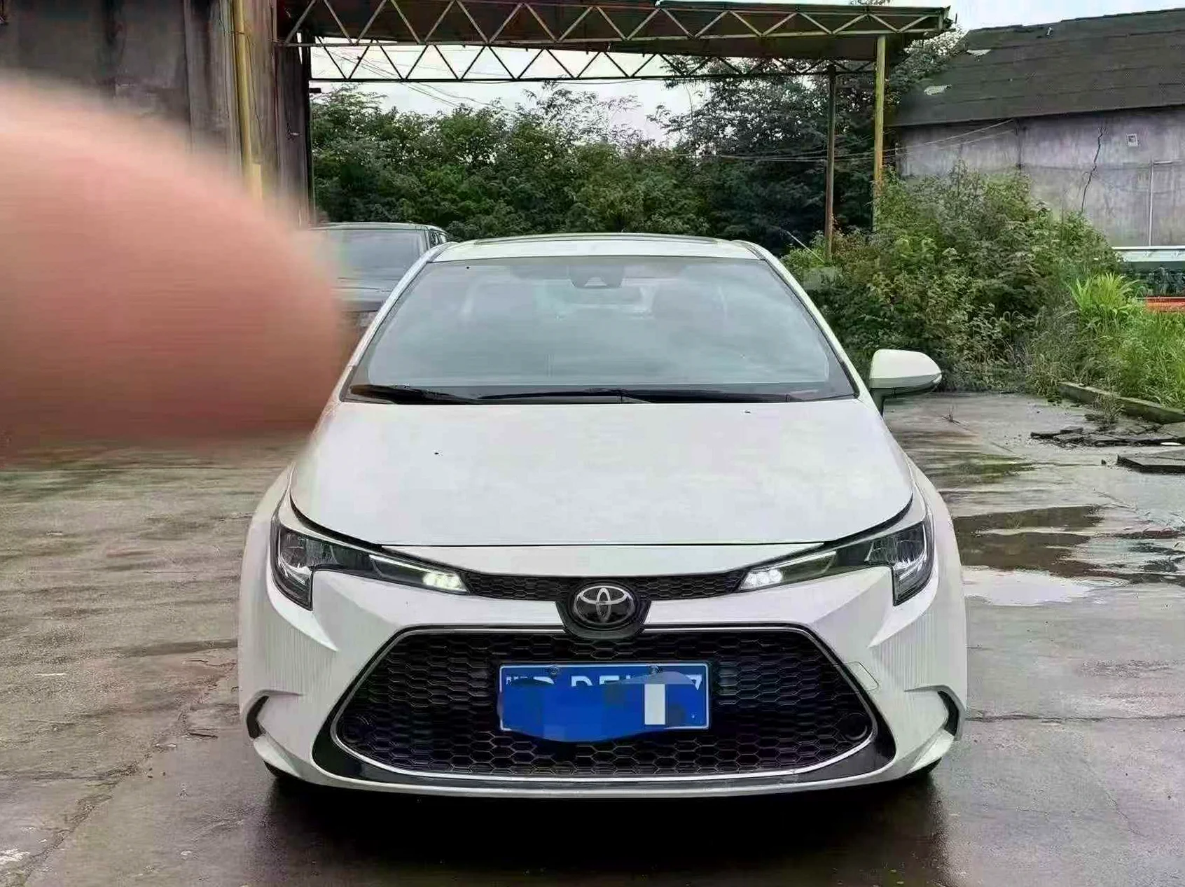 2020款丰田雷凌1.2T