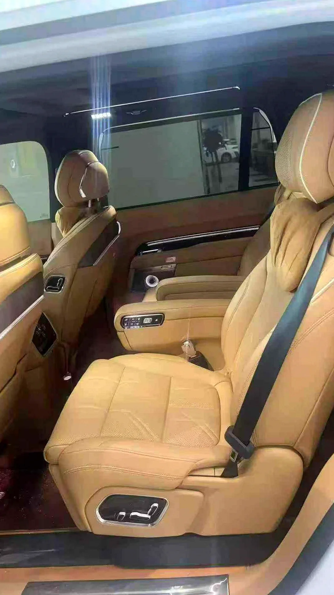 极氪汽车9X 后面外观二