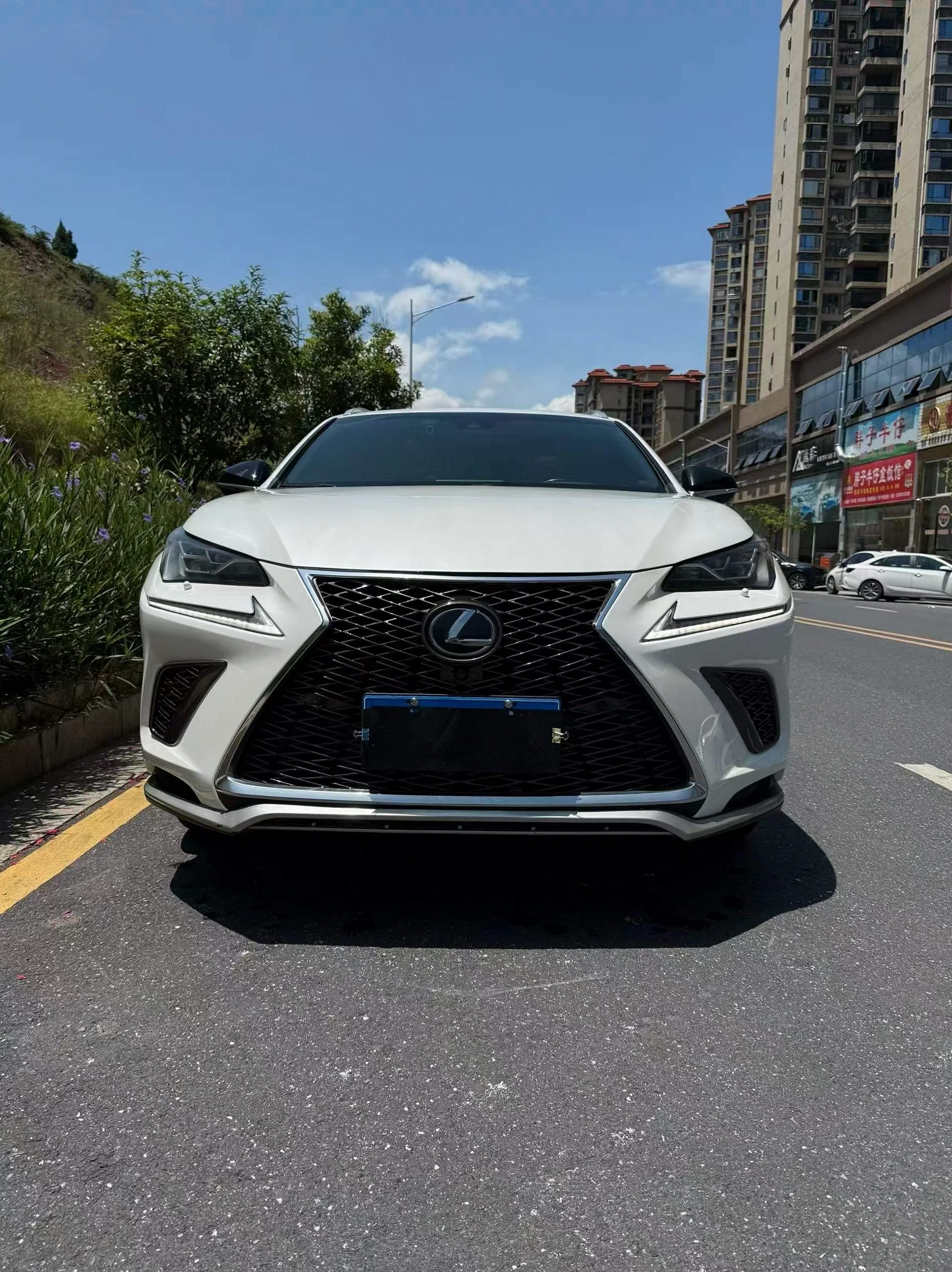2017款雷克萨斯NX300 F SPORT