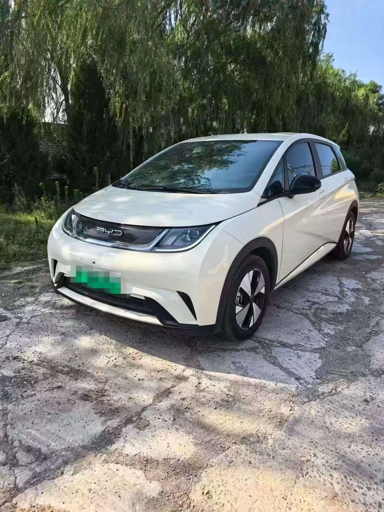 比亚迪海豚 正面外观二