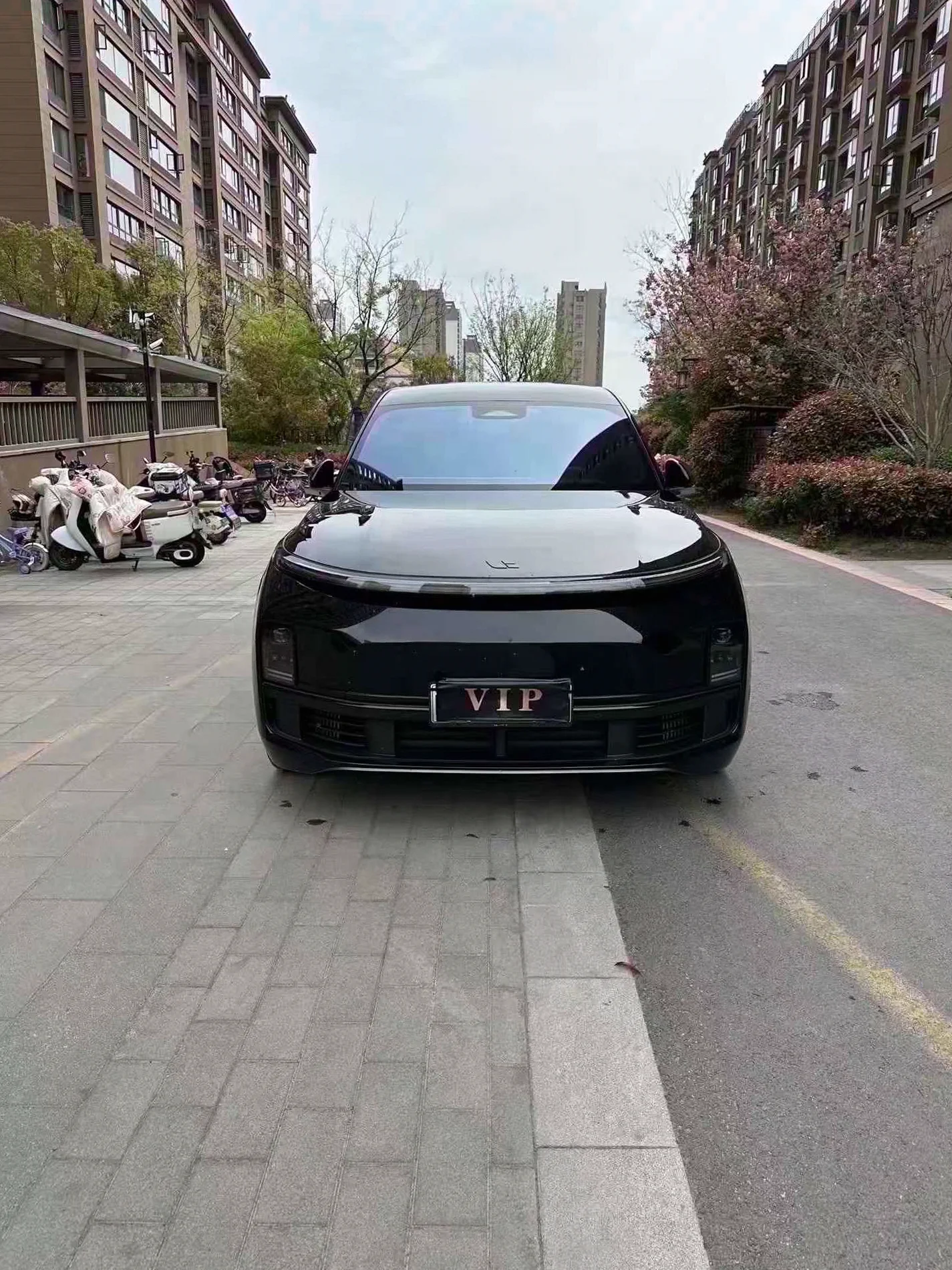 2025款理想L9 Max