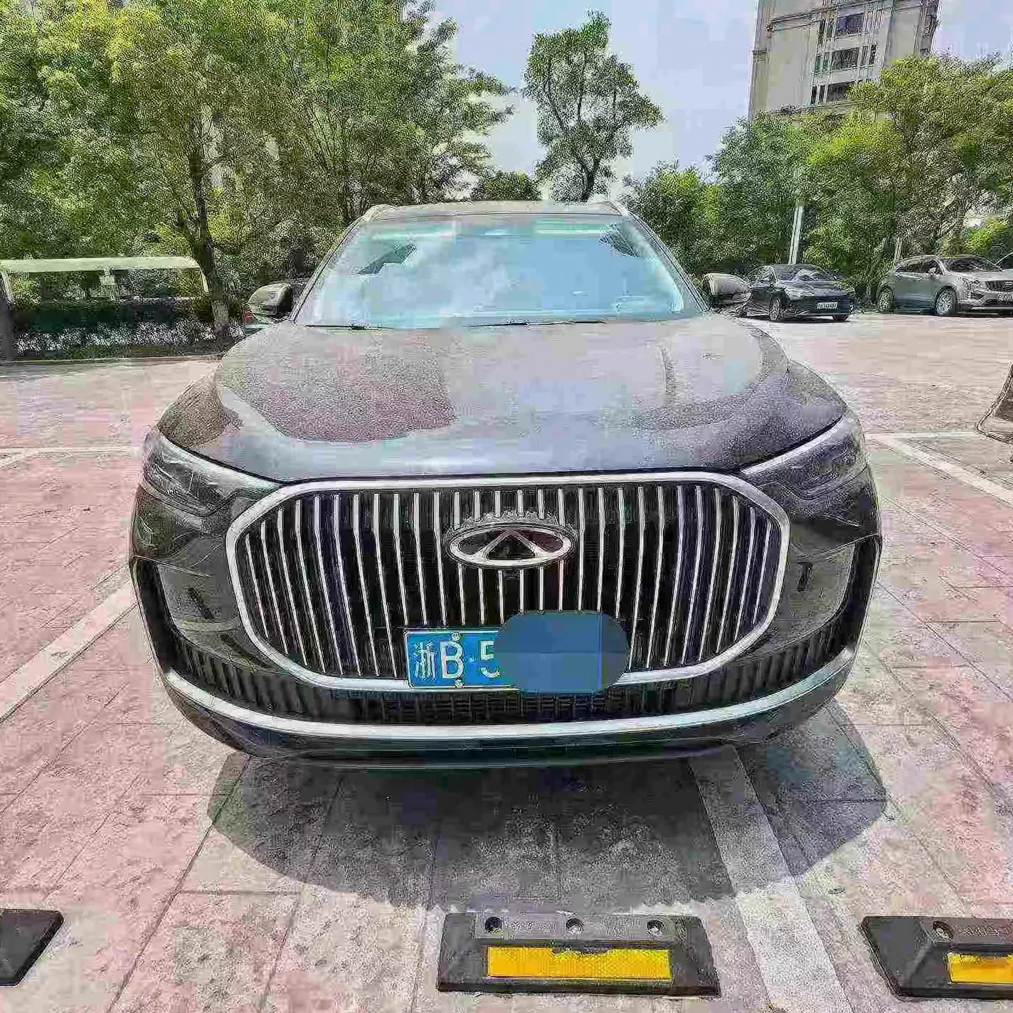 2025款奇瑞瑞虎9 2.0T黑武士版