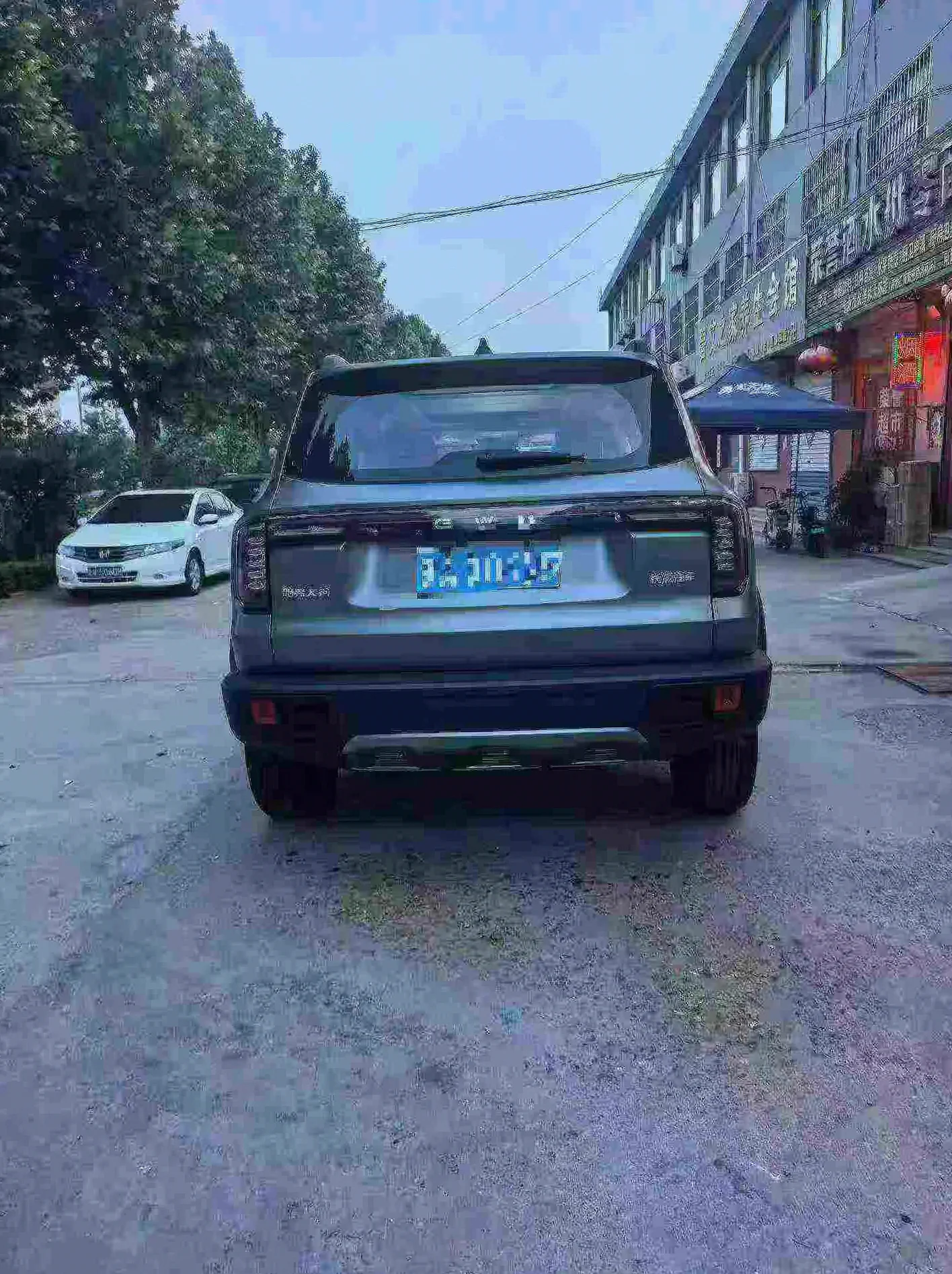哈弗大狗 驾驶室