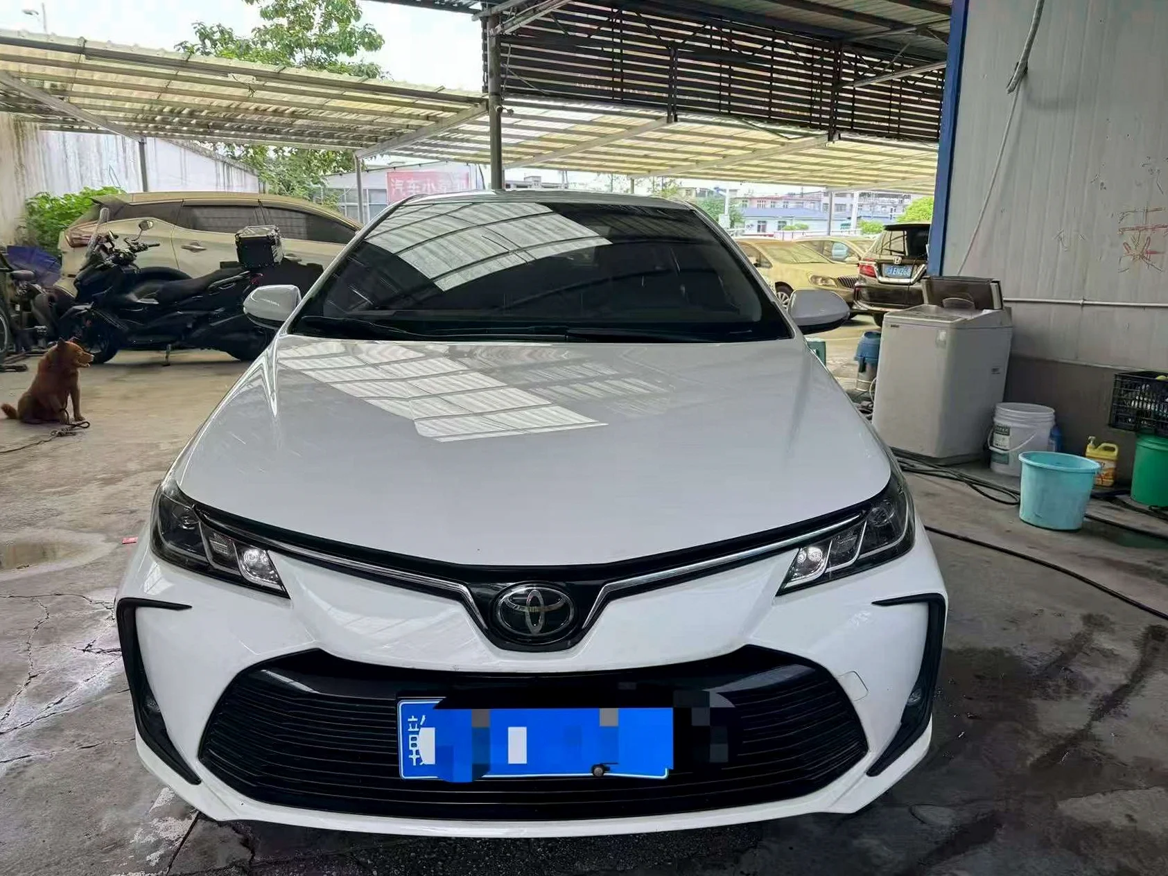 21年丰田卡罗拉1.2T