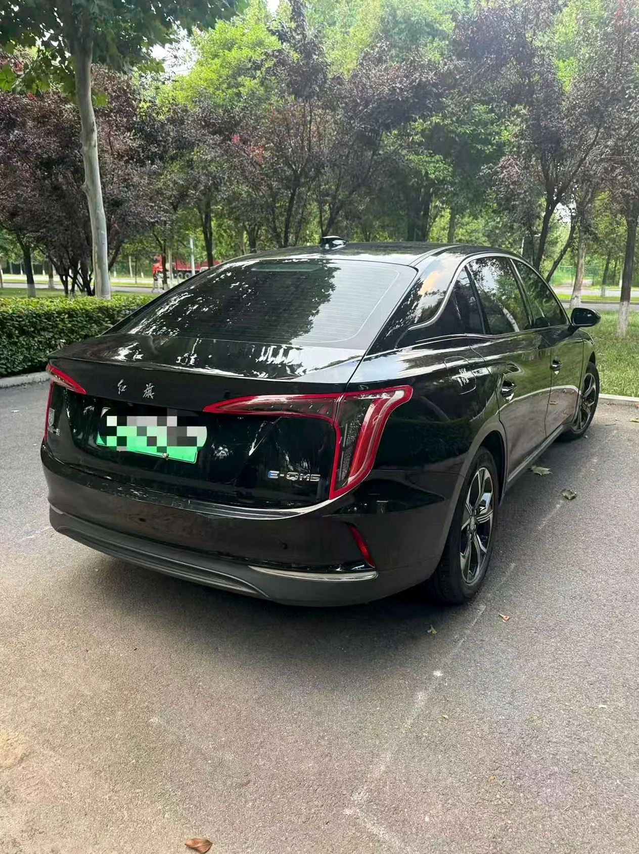 红旗E-QM5 内饰后排