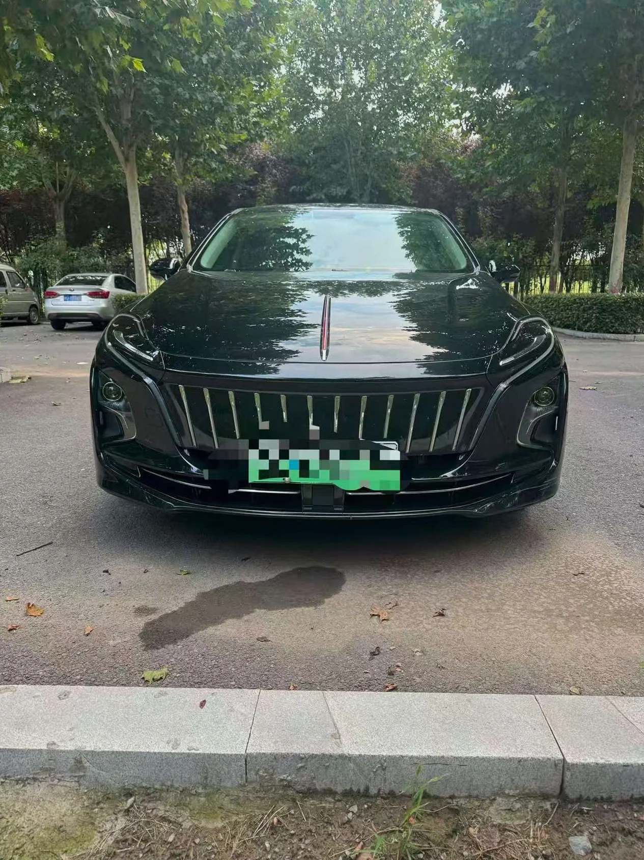 2024款 红旗 E-QM5