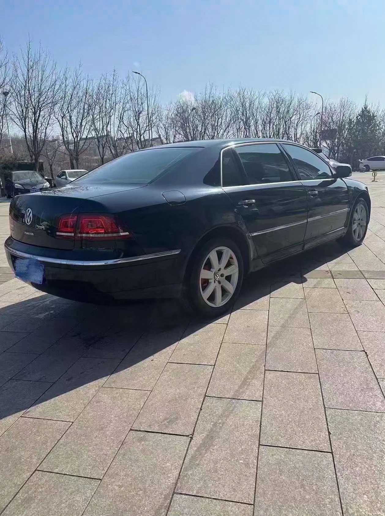 大众辉腾 后面外观三