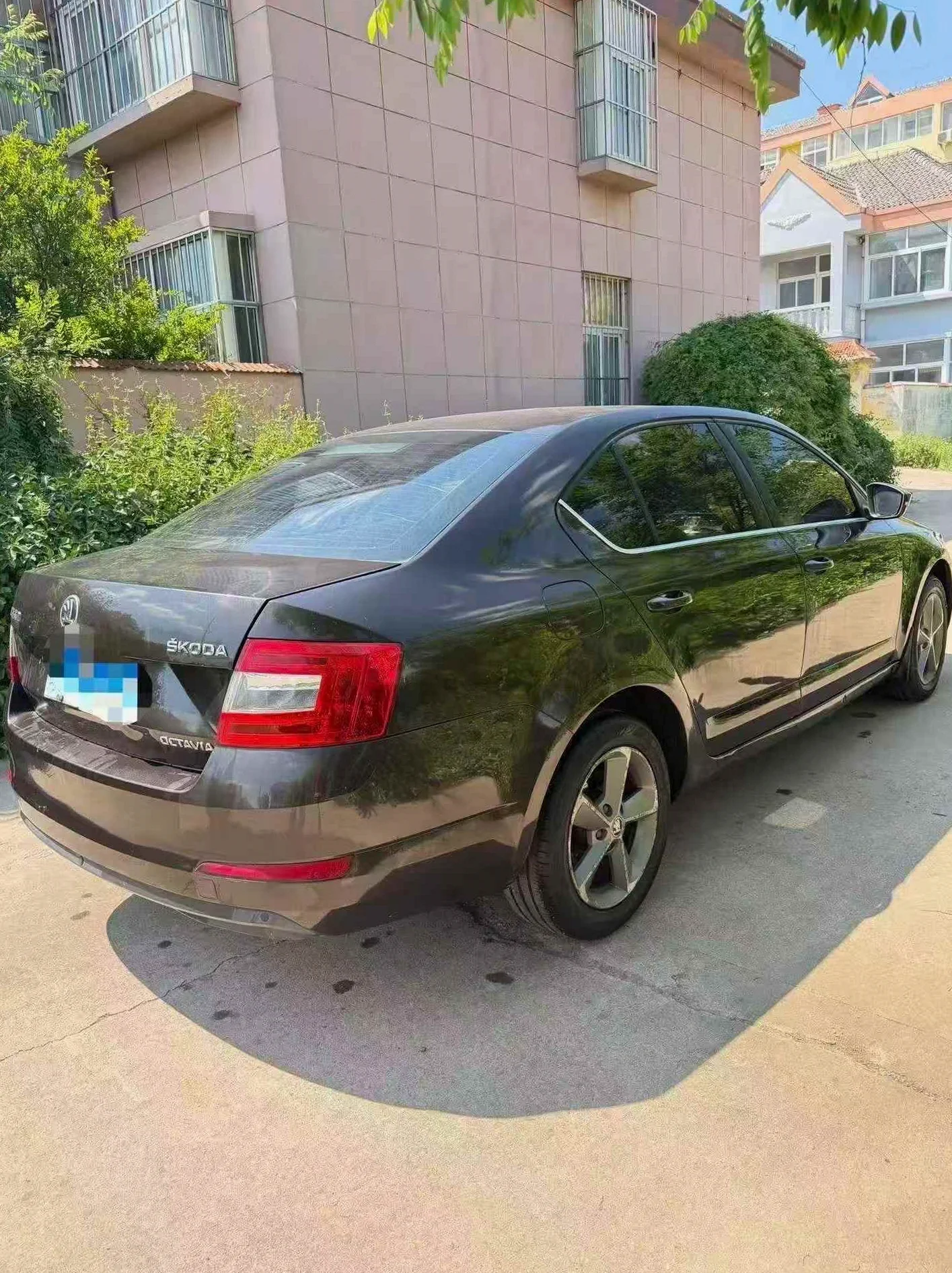 斯柯达明锐 后面外观三
