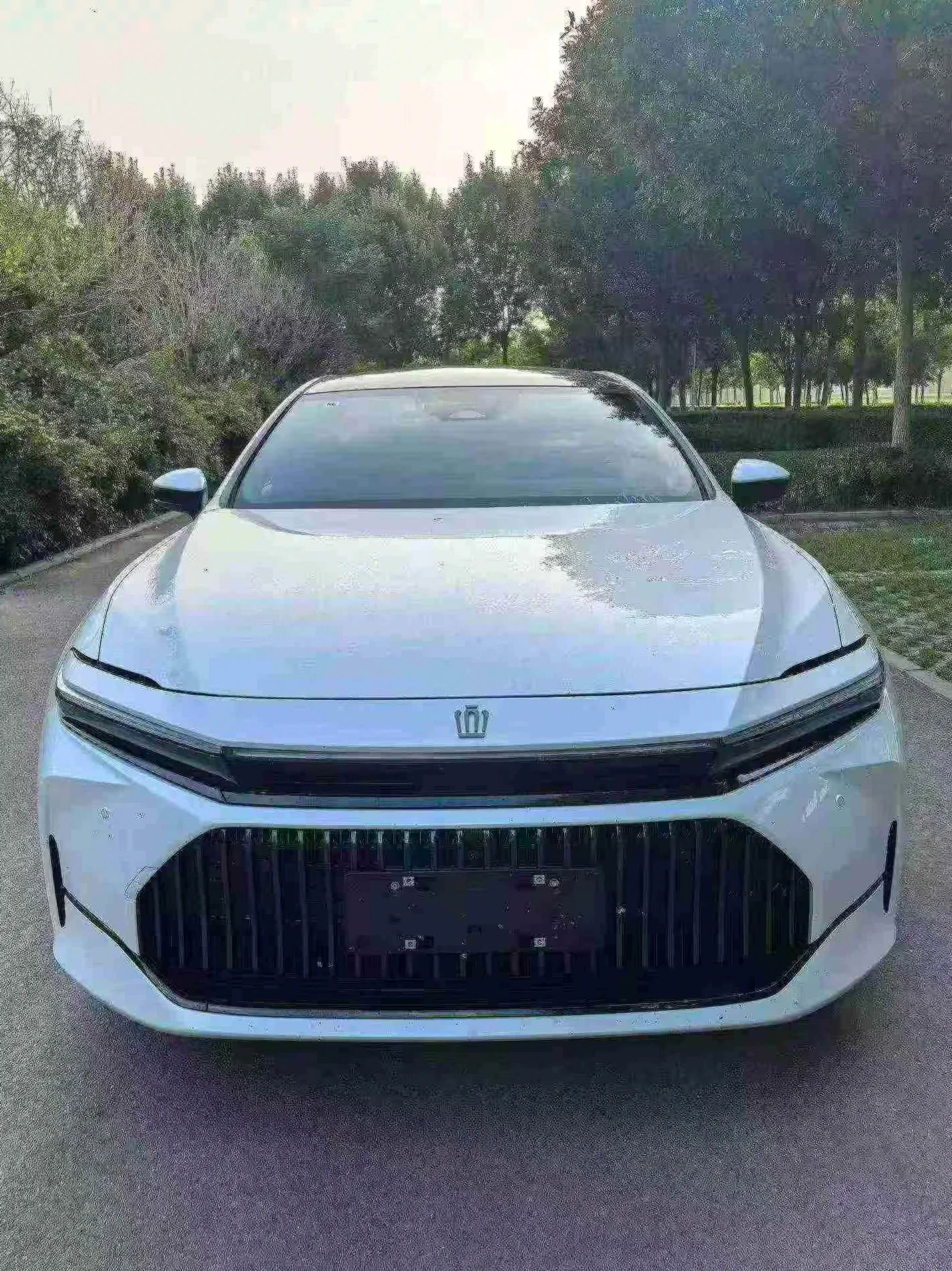 26年进口丰田皇冠Sedan 2.5L混动至尊版