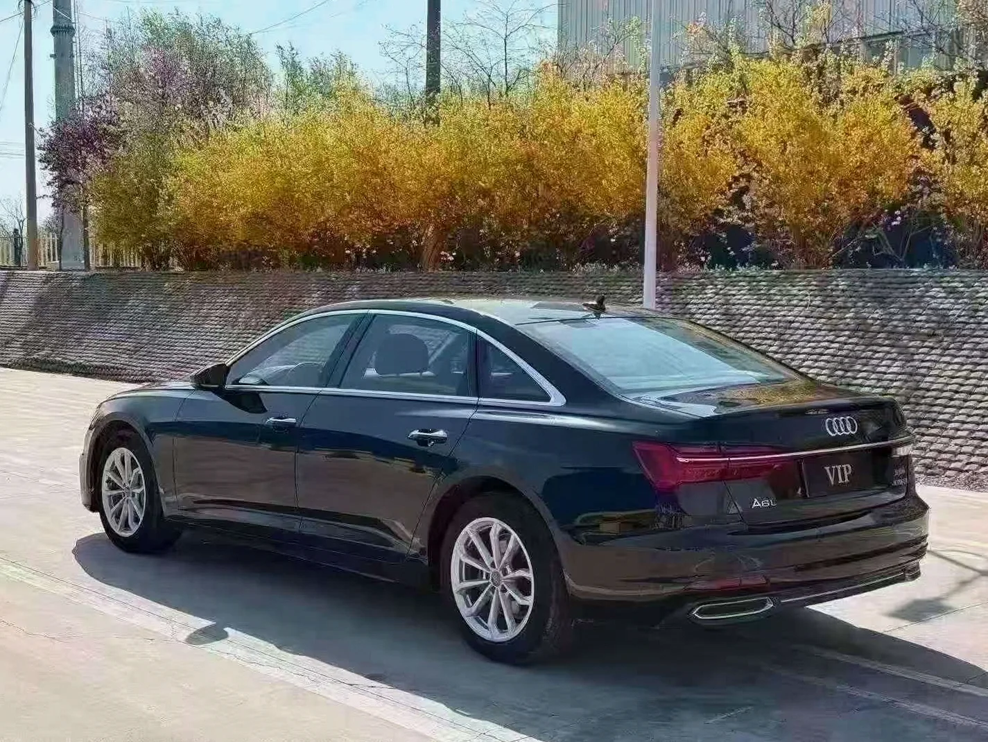 奥迪A6L 后面外观三