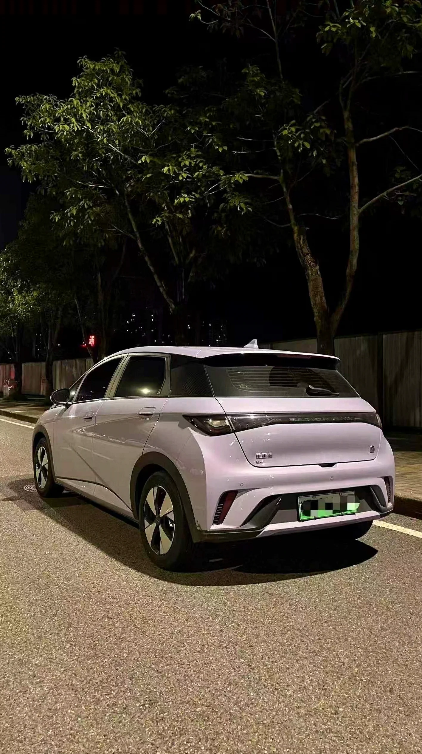 比亚迪海豚 驾驶室
