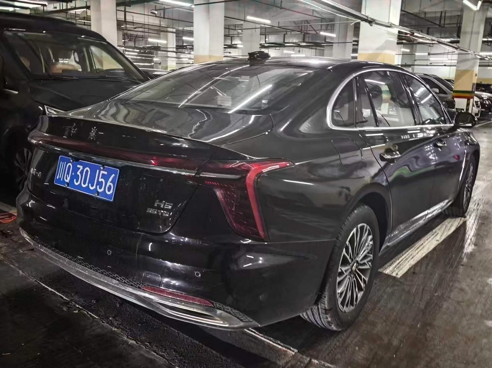 红旗H5 后面外观三